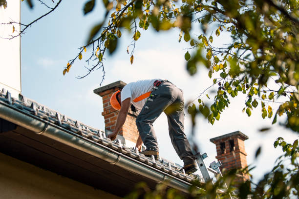 Best Roof Ventilation Installation  in Seward, AK