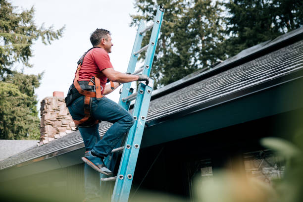 Best Storm Damage Roof Repair  in Seward, AK